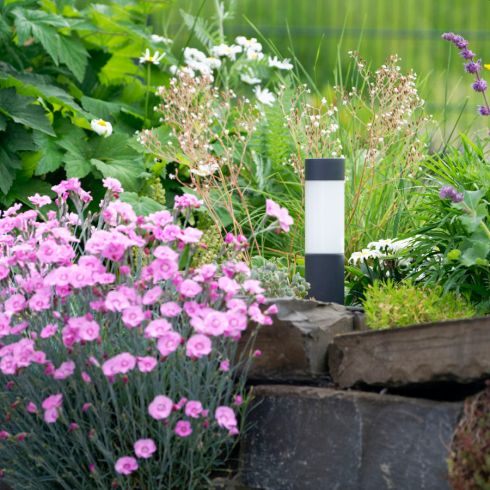84920K3 - BEGA UniLink Ortsveränderliche Gartenleuchte, grafit