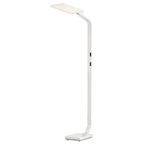 Force One POWER eloxiert LED-Stehleuchte 4000K