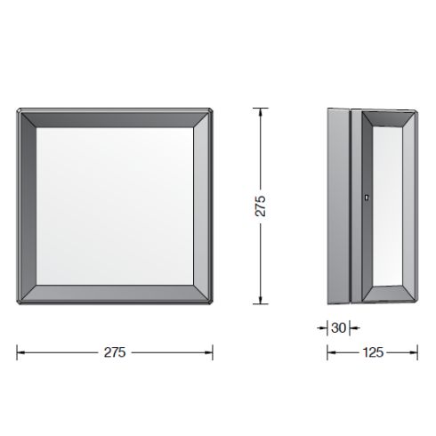 22646K3 Wand-/ Deckenleuchte, grafit