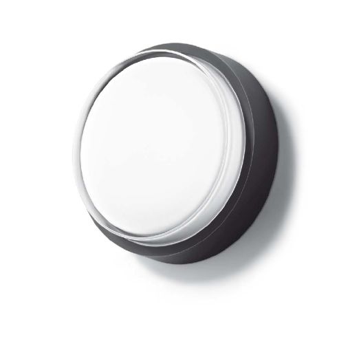 33534K3 LED-Decken-/ Wandleuchte, grafit